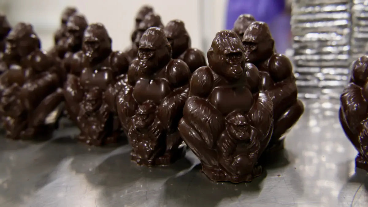 Chocolate gorilla figurines on a reflective surface