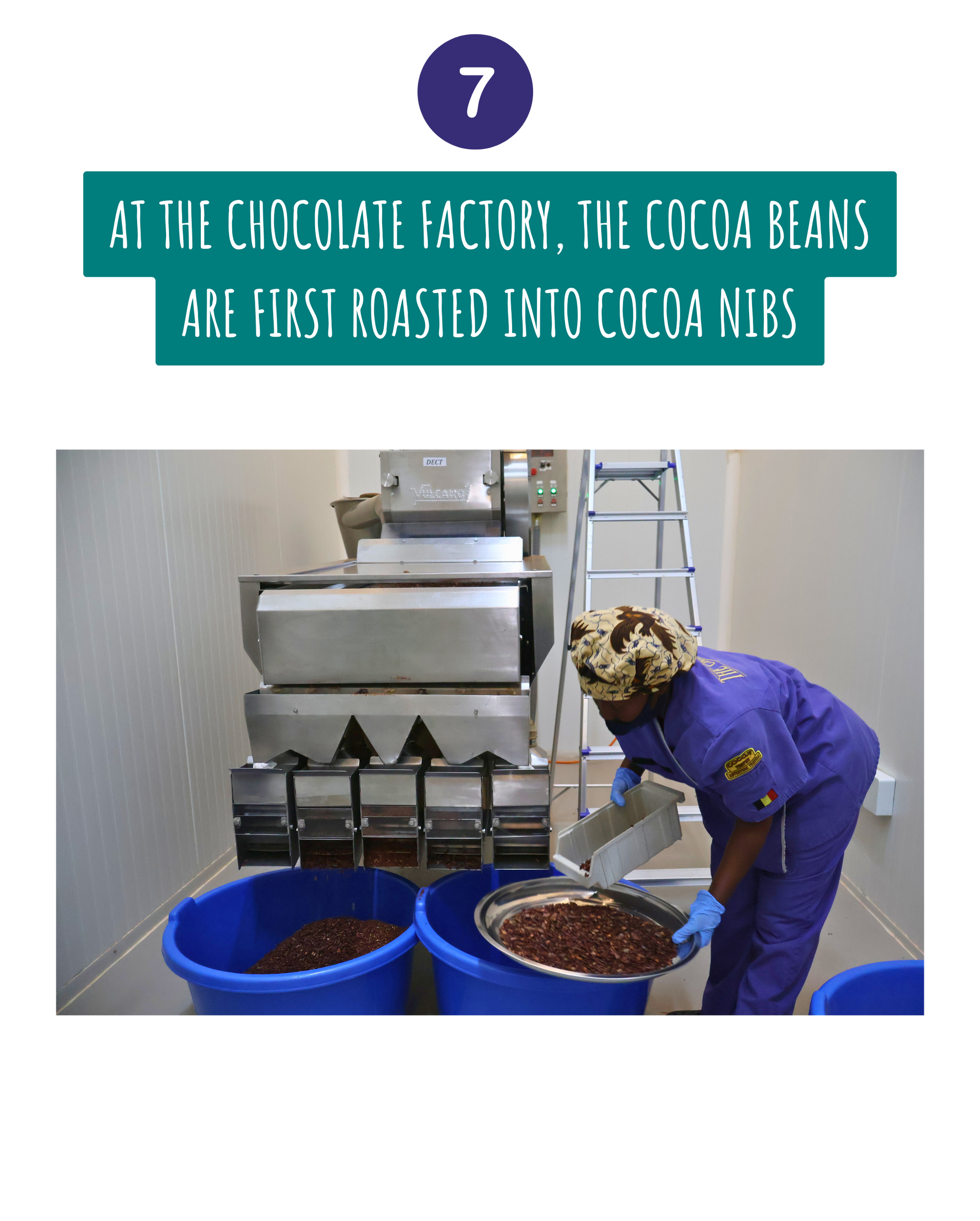 Cocoa_Traceability_7