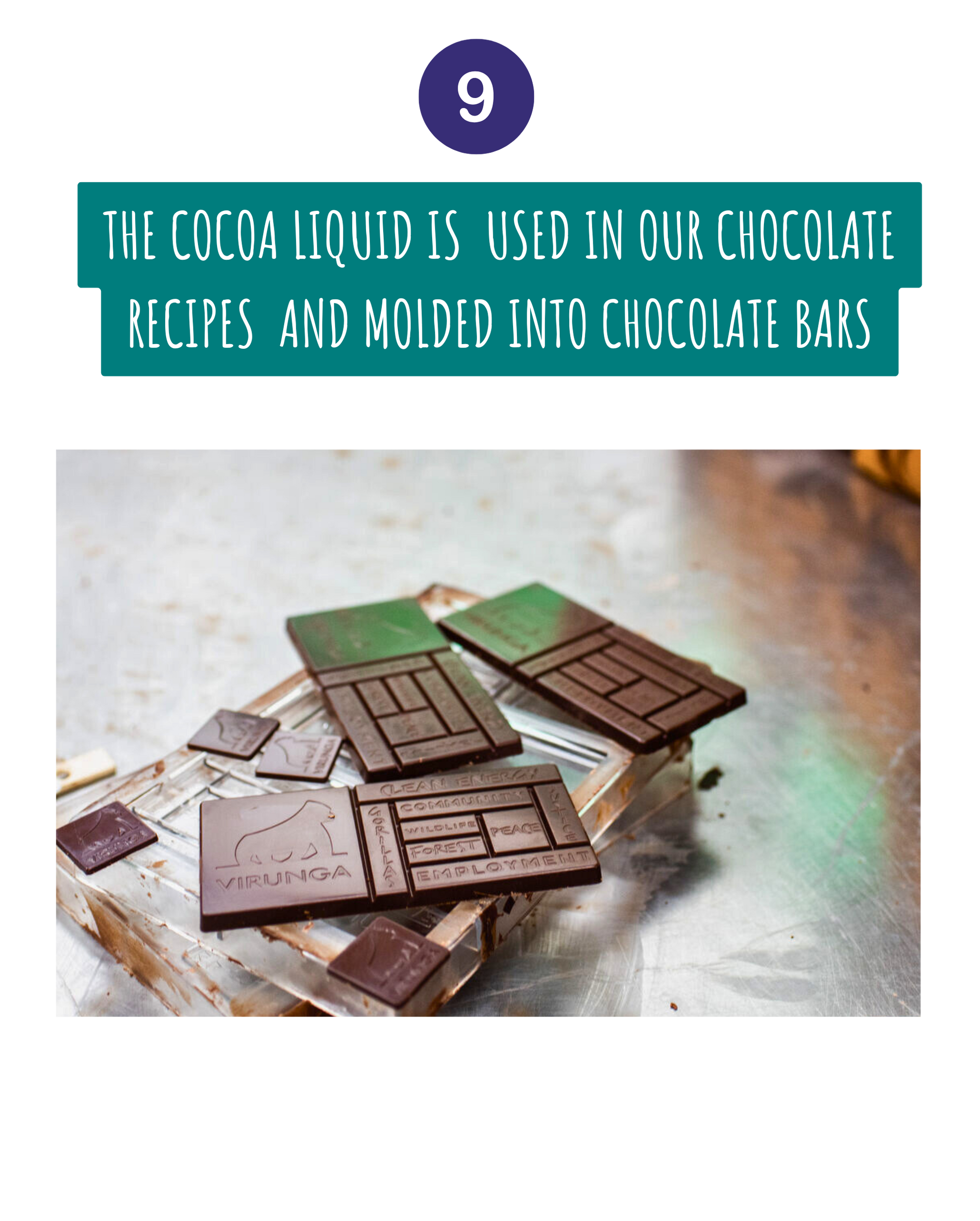 Cocoa_Traceability_9