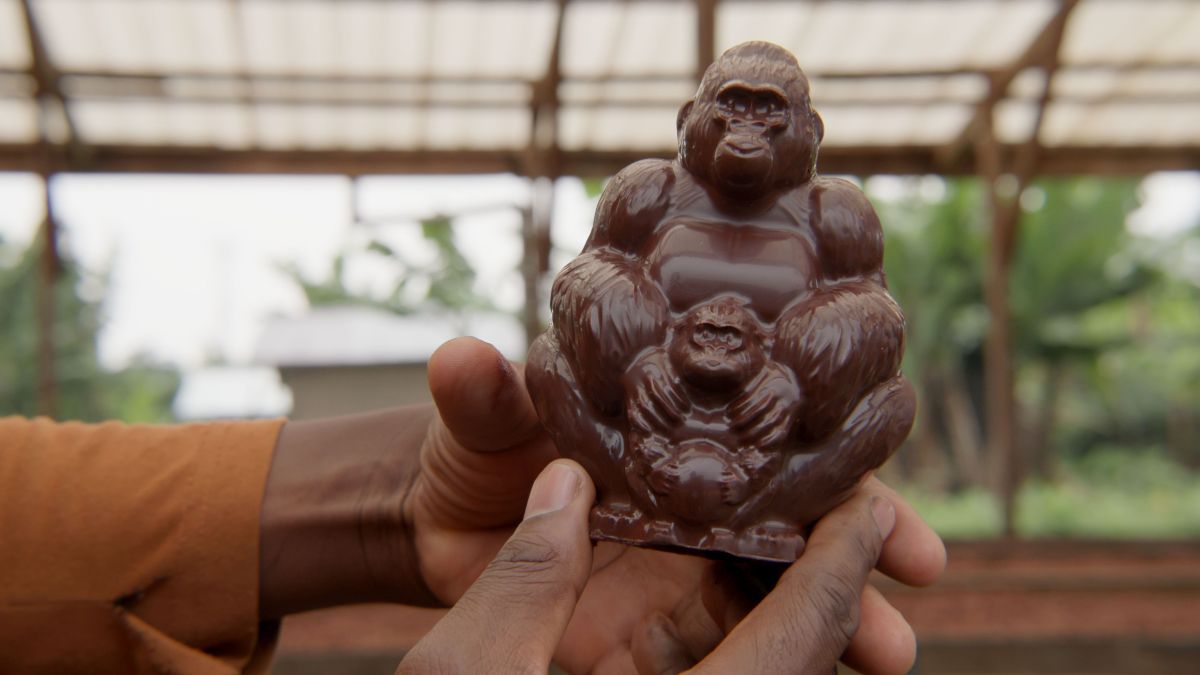Chocolate gorilla figurine held by a person with a blurred outdoor background