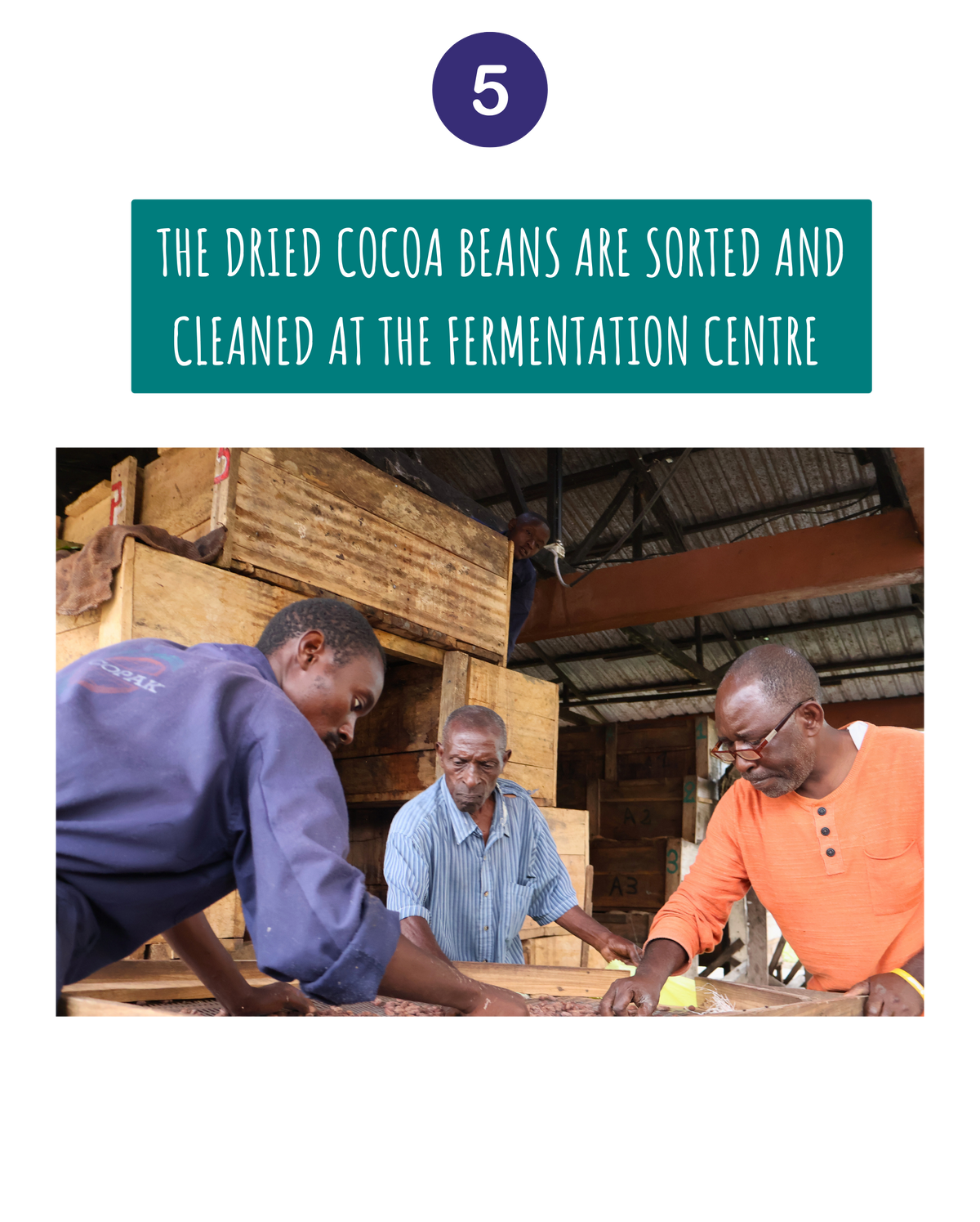 Dark Chocolate Coated Peanuts 63% – Virunga Origins